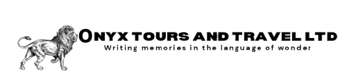 Onyx Tours and Travels